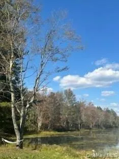 a view of a lake with houses
