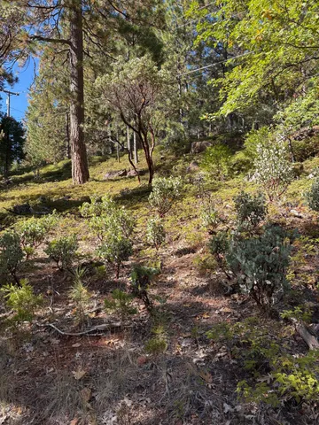 $42,500 | 1984 Pine Cone Drive, Arnold, CA 95223