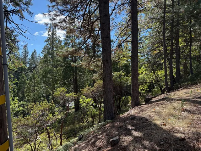 $42,500 | 1984 Pine Cone Drive, Arnold, CA 95223