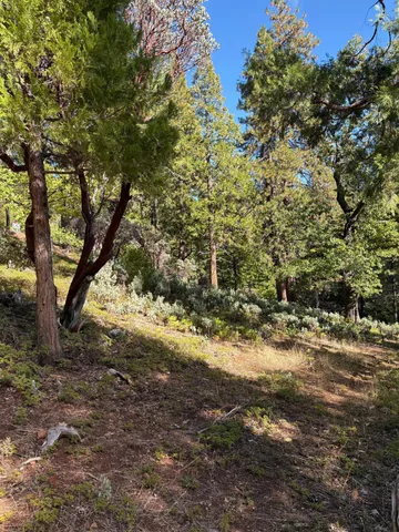 $42,500 | 1984 Pine Cone Drive, Arnold, CA 95223