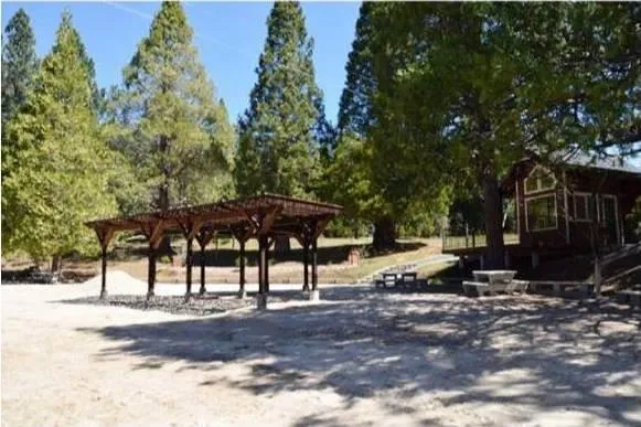 a view of a yard with a tree