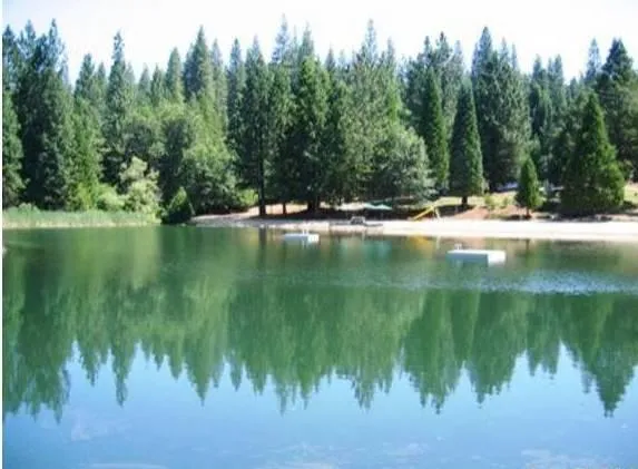 $42,500 | 1984 Pine Cone Drive, Arnold, CA 95223