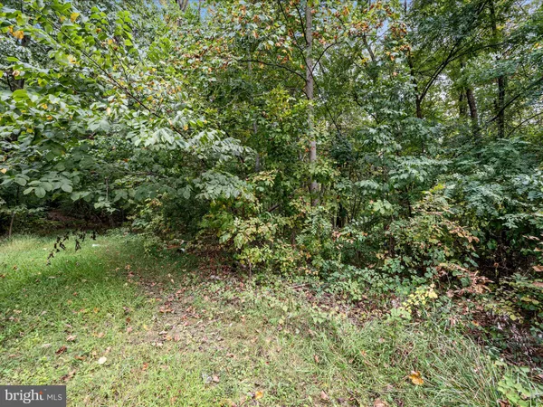 $25,000 | 76-77 Pink Bud Trail, Harpers Ferry, WV 25425