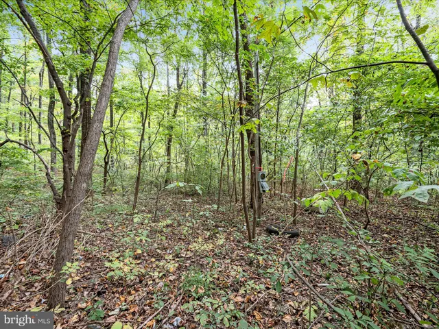 $25,000 | 76-77 Pink Bud Trail, Harpers Ferry, WV 25425