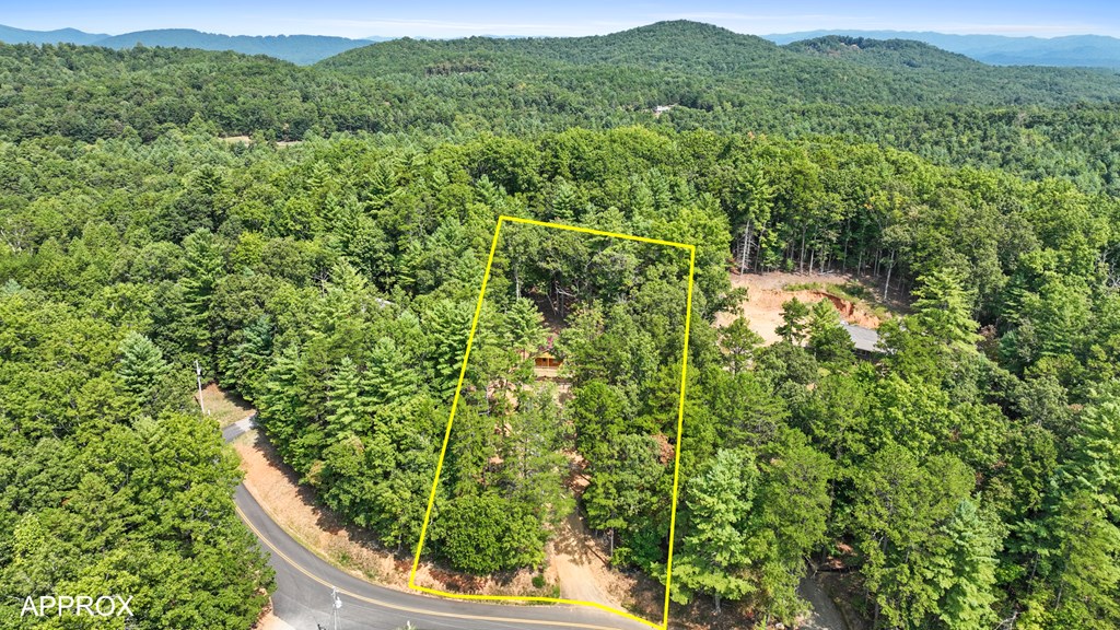 786 Cook Henry Road Morganton, GA 30560 - Photo 8 of 33