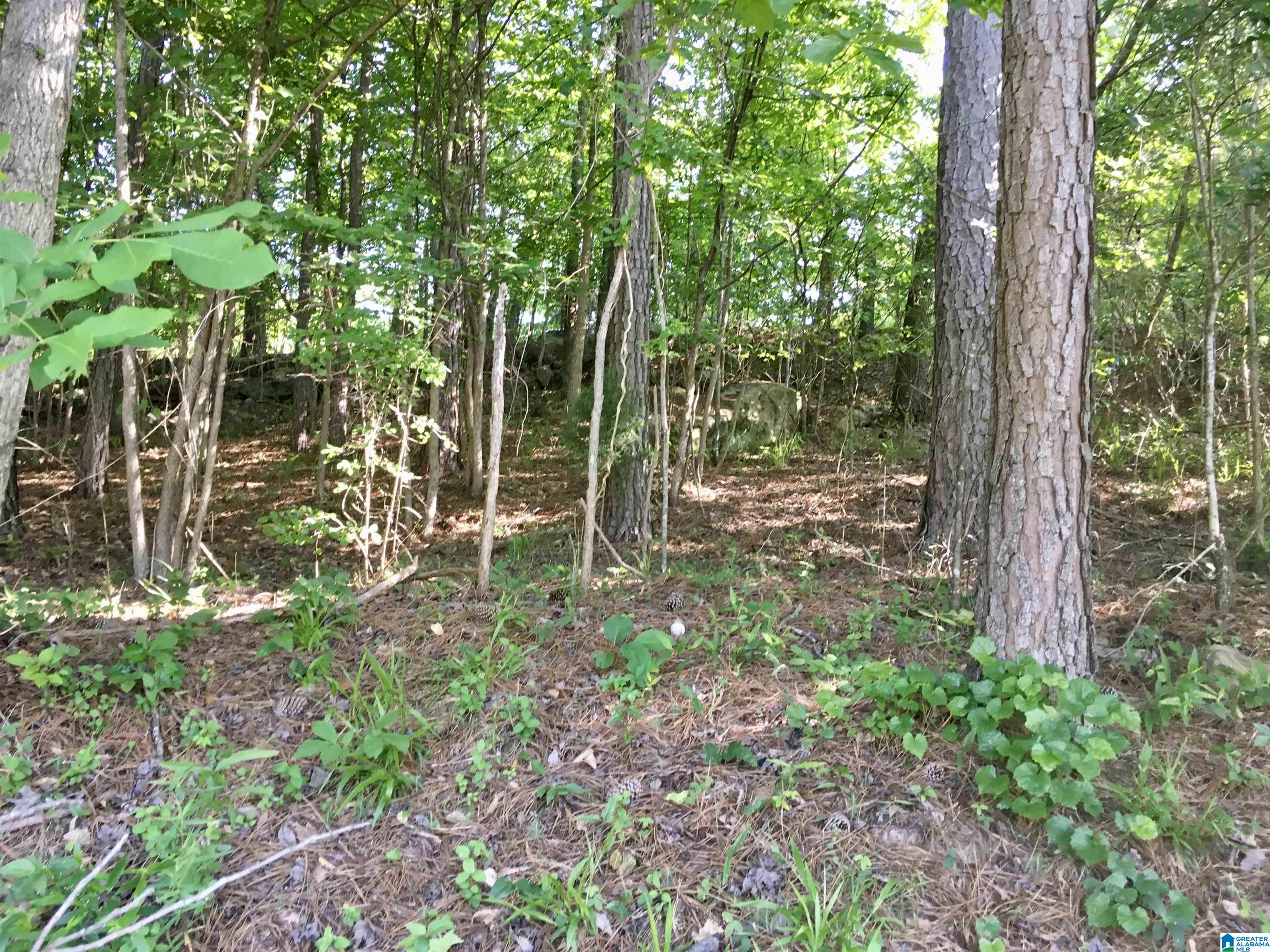 0 Quail Ridge Road, Unit 1 Oneonta, AL 35121 - Photo 5 of 29