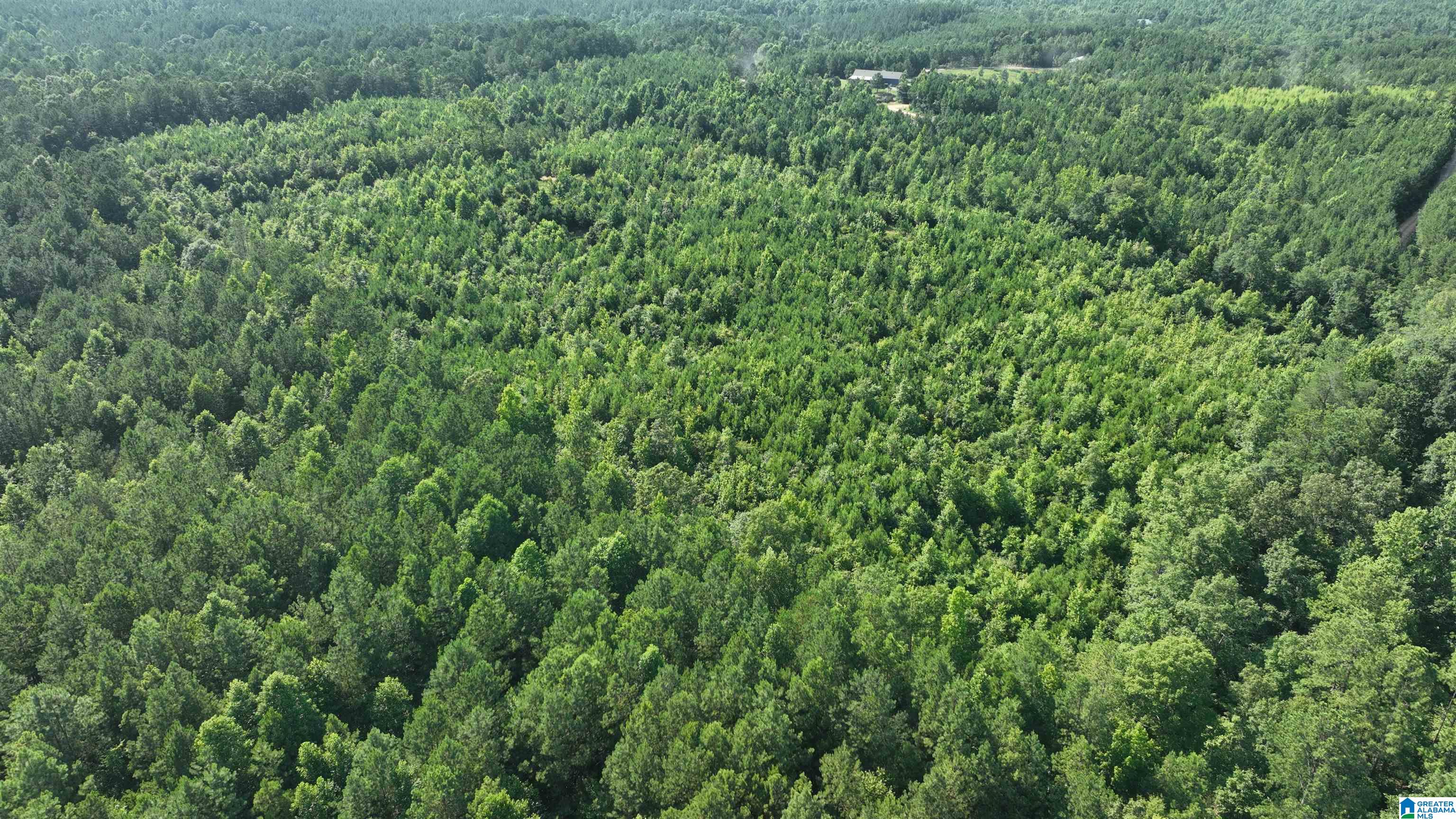 2 County Road 253, Unit 2 Clanton, AL 35046 - Photo 29 of 40