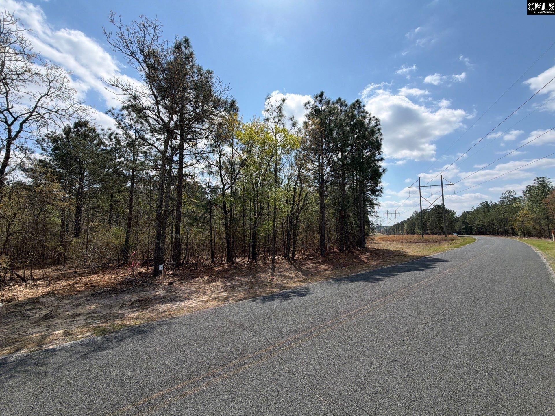 2 Mt Calvary Rd Ridge Spring, Unit CA 2 Ridge Spring, SC 29129 - Photo 8 of 29