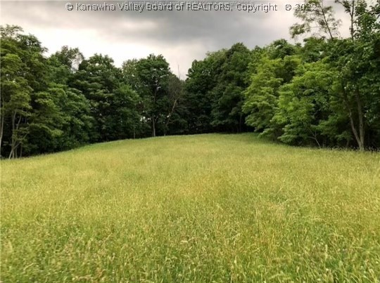 1993 Peniel Road Gay, WV 25244 - Photo 23 of 23 Gallery Image 23