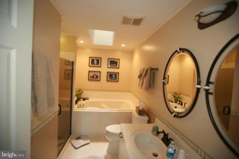 1506 Deer Point Way Reston, VA 20194 - Photo 8 of 30 a bathroom with a sink toilet and a mirror