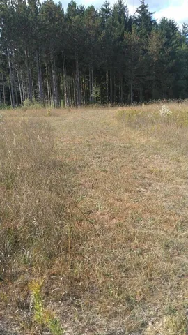 $60,000 | Tyler Hills Drive, Unit 12, Traverse City, MI 49685