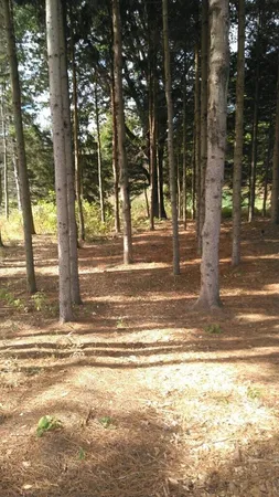 $60,000 | Tyler Hills Drive, Unit 12, Traverse City, MI 49685