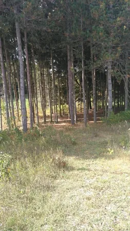 $60,000 | Tyler Hills Drive, Unit 12, Traverse City, MI 49685