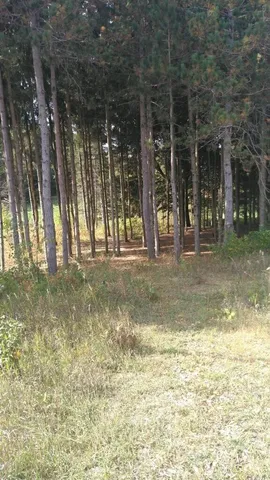 $60,000 | Tyler Hills Drive, Unit 12, Traverse City, MI 49685