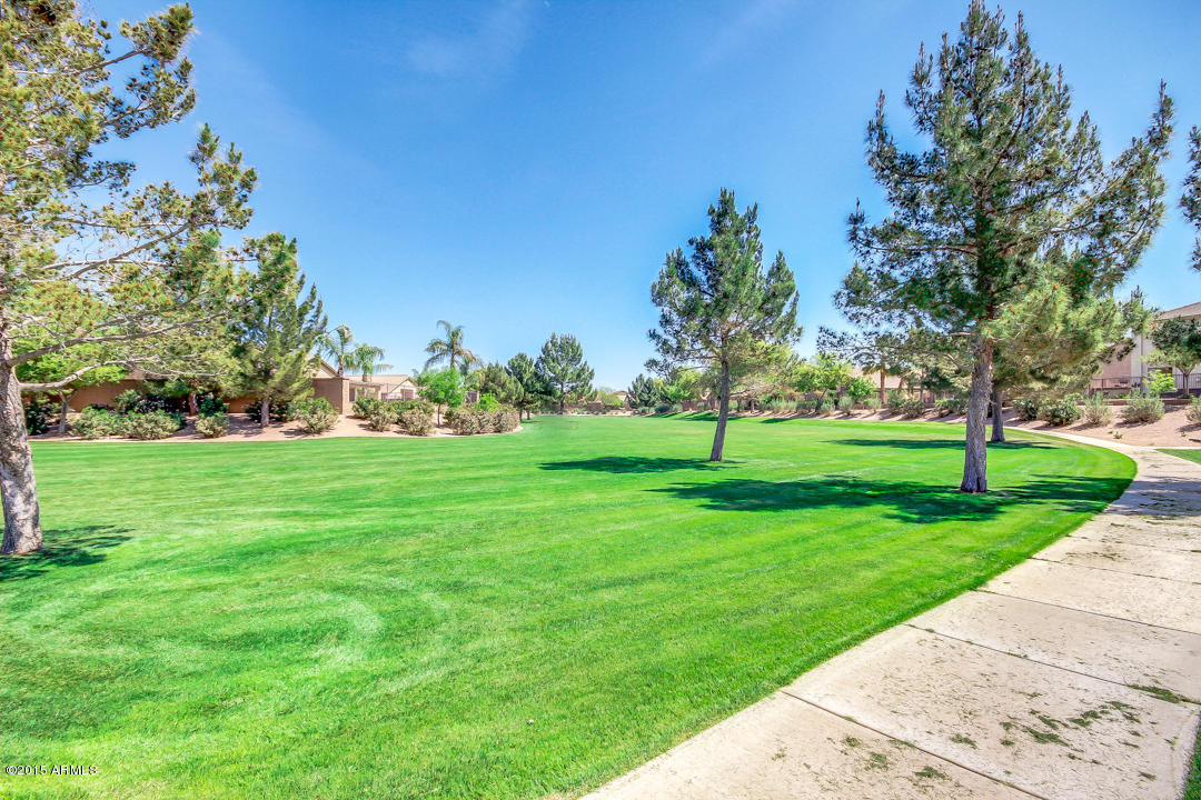 3952 East Simpson Road Gilbert, AZ 85297 - Photo 43 of 44 Simpson-53.jpg