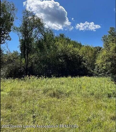 3215 County Line Road East Lansing, MI 48823 - Photo 1 of 10 view