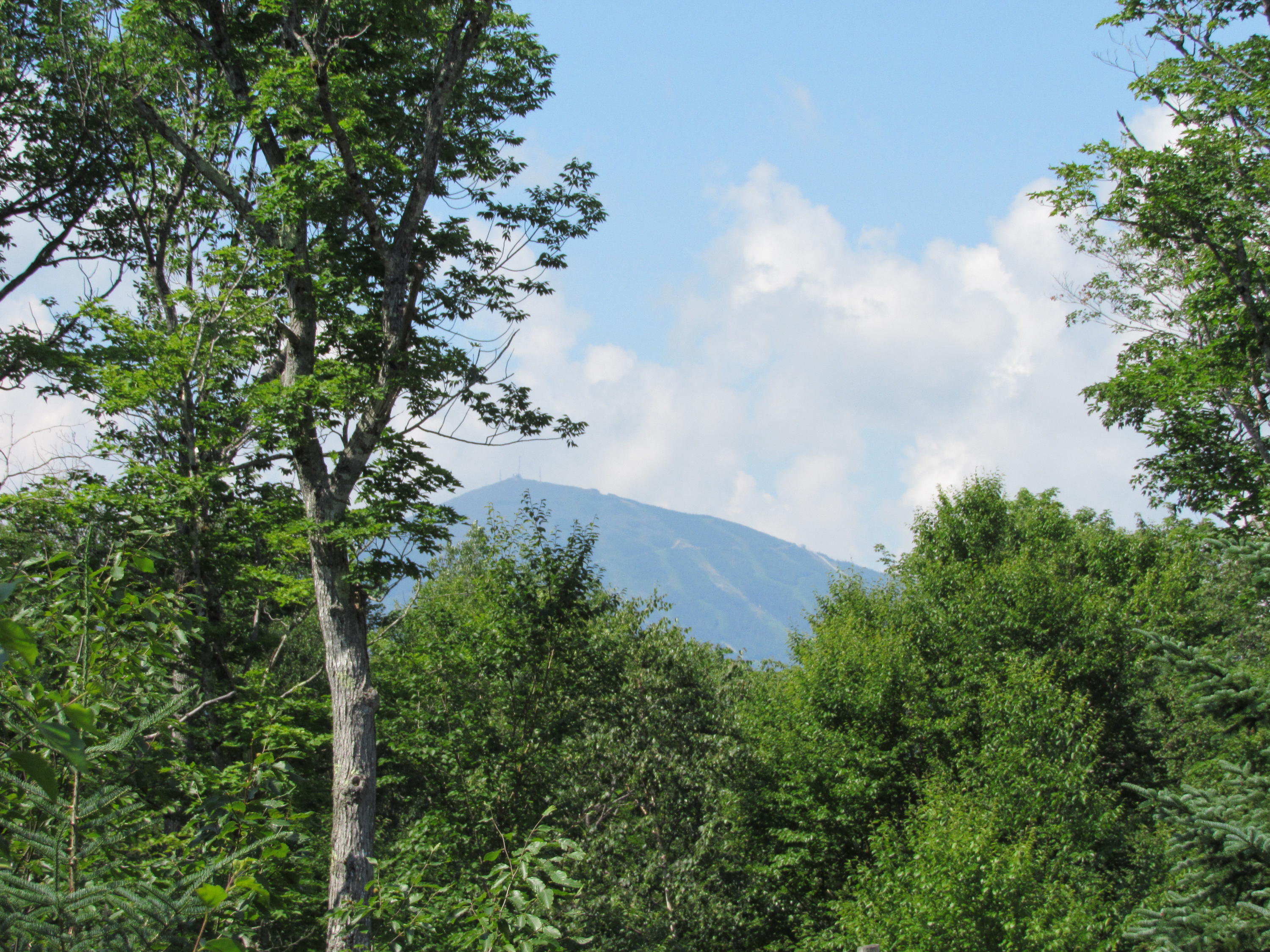 View from Deck