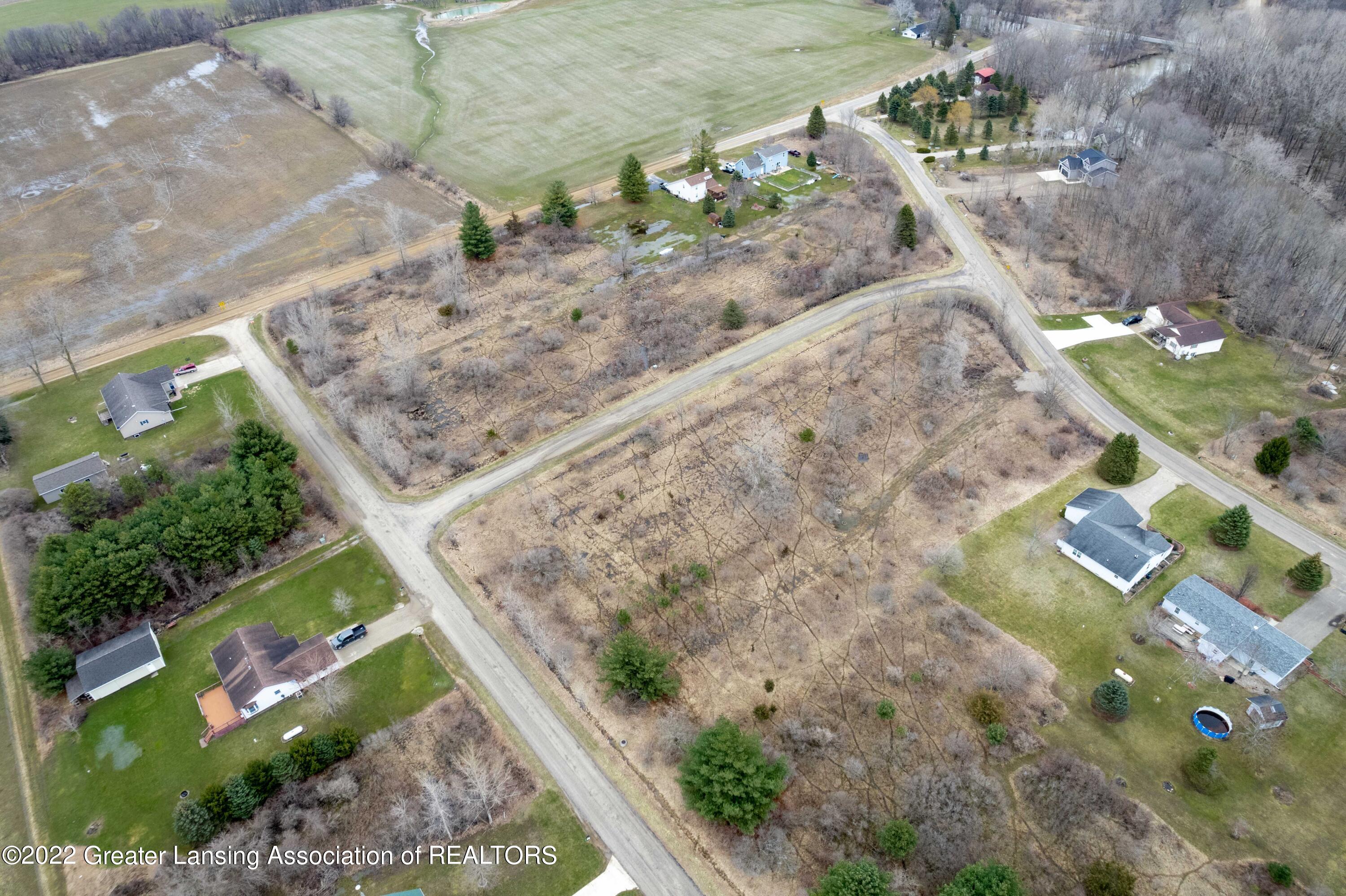 137-138 Butler Road Perrinton, MI 48871 - Photo 8 of 8 Short St Lots Perrinton MI- North East