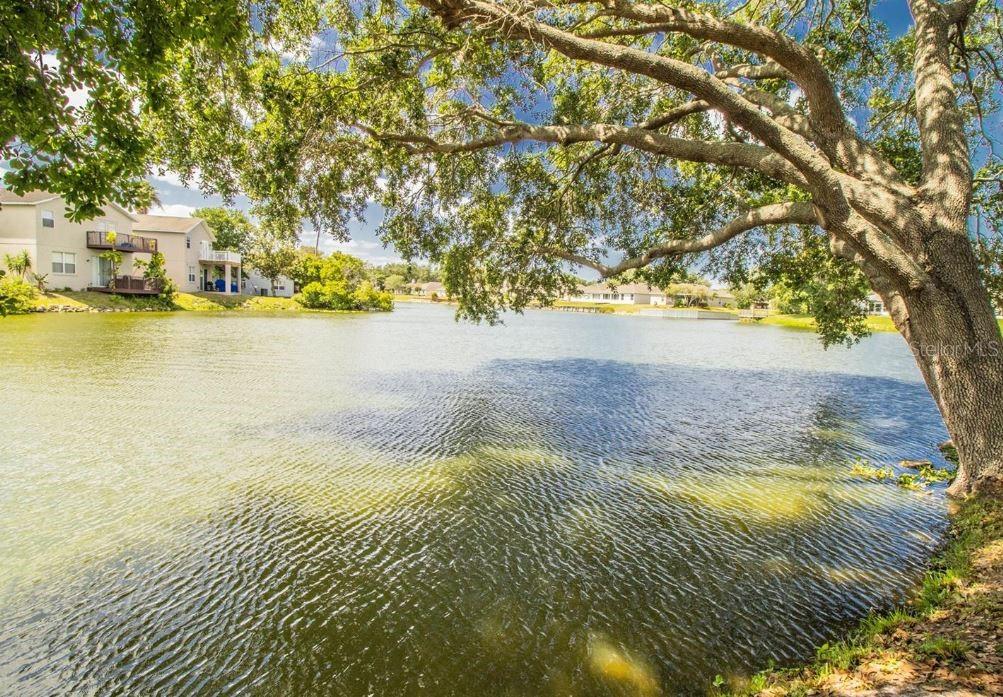 2010 Hatteras Point Lakeland, FL 33813 - Photo 41 of 42