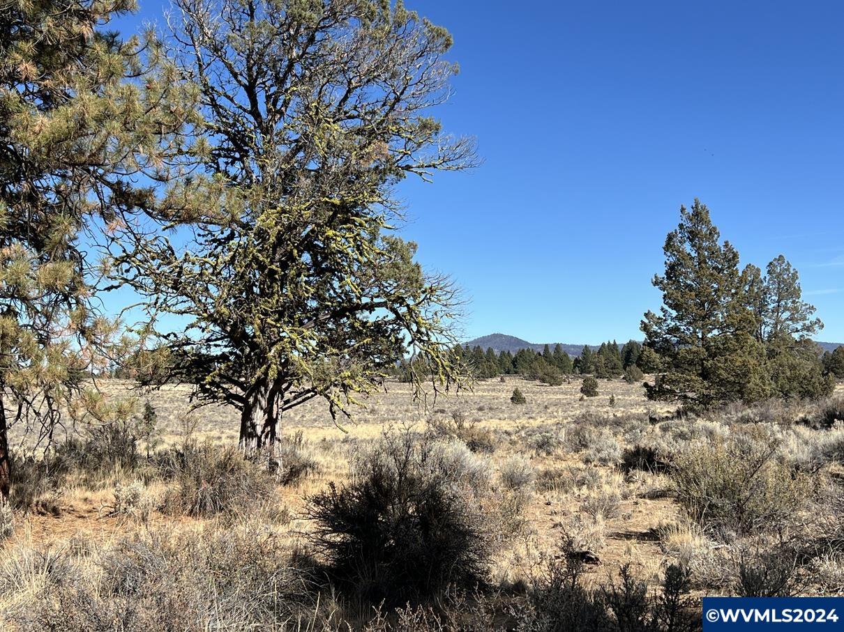 600 Oregon Pines Road Chiloquin, OR 97624 - Photo 20 of 49