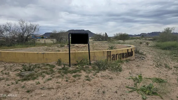 a view of a garden with an outdoor space