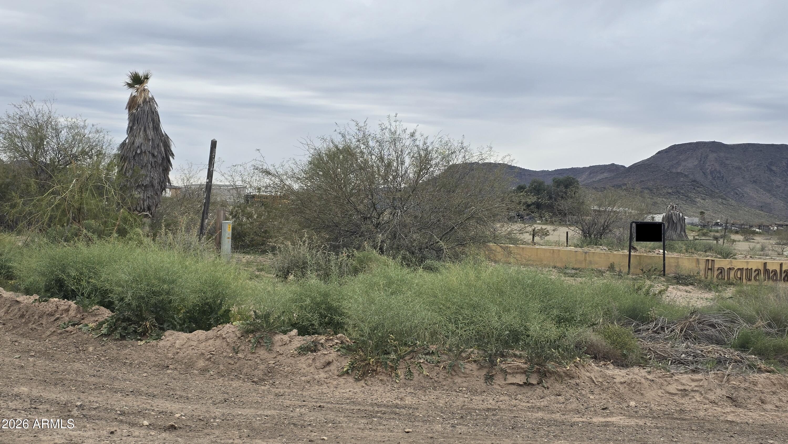 539-aa West Eagletail Road Tonopah, AZ 85354 - Photo 11 of 32 a view of a house with a yard and a forest