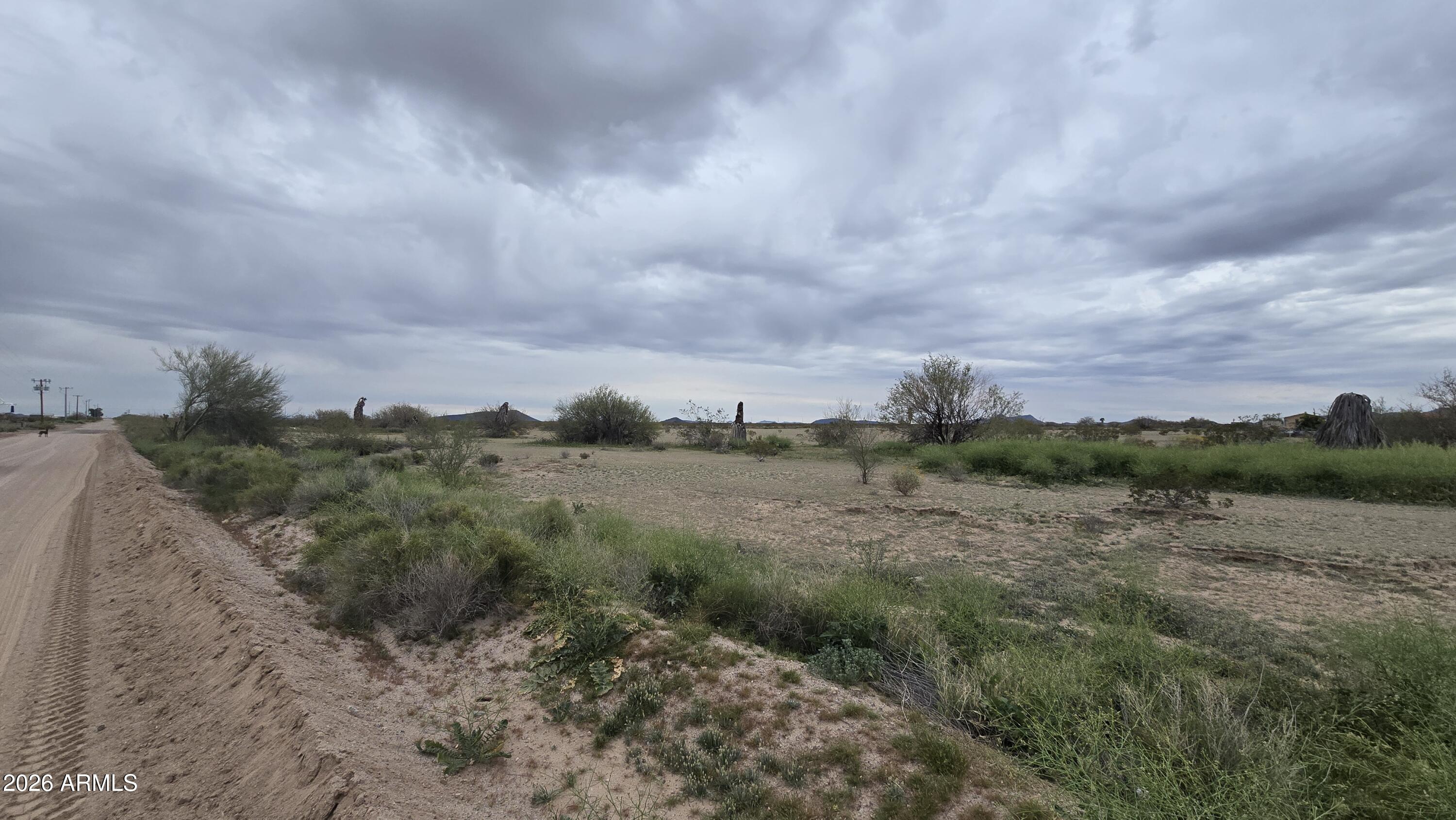 539-aa West Eagletail Road Tonopah, AZ 85354 - Photo 19 of 32 a view of a field with trees in background