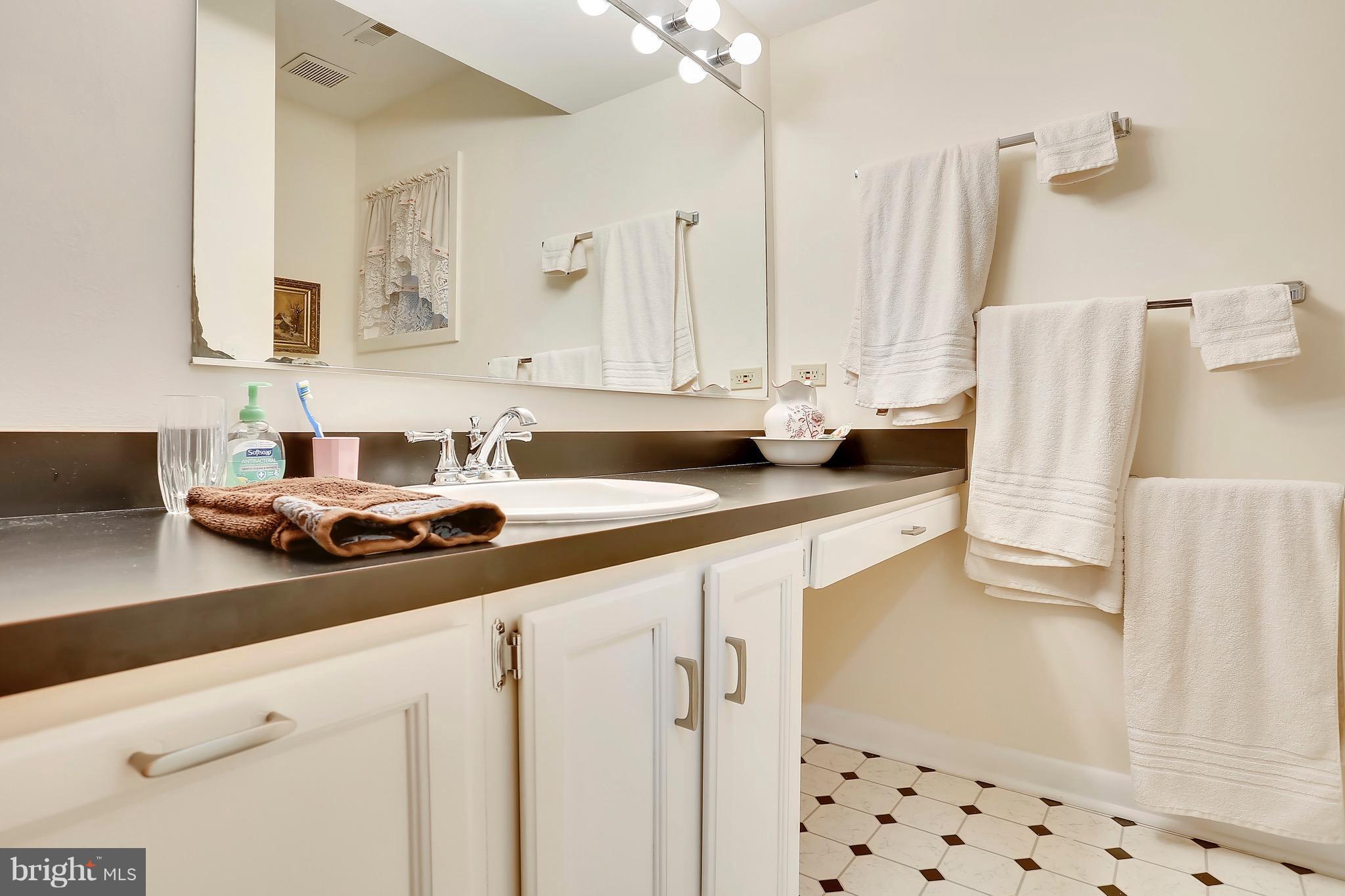 124 Edgehill Road Annapolis, MD 21405 - Photo 19 of 30 Lower Level Bathroom