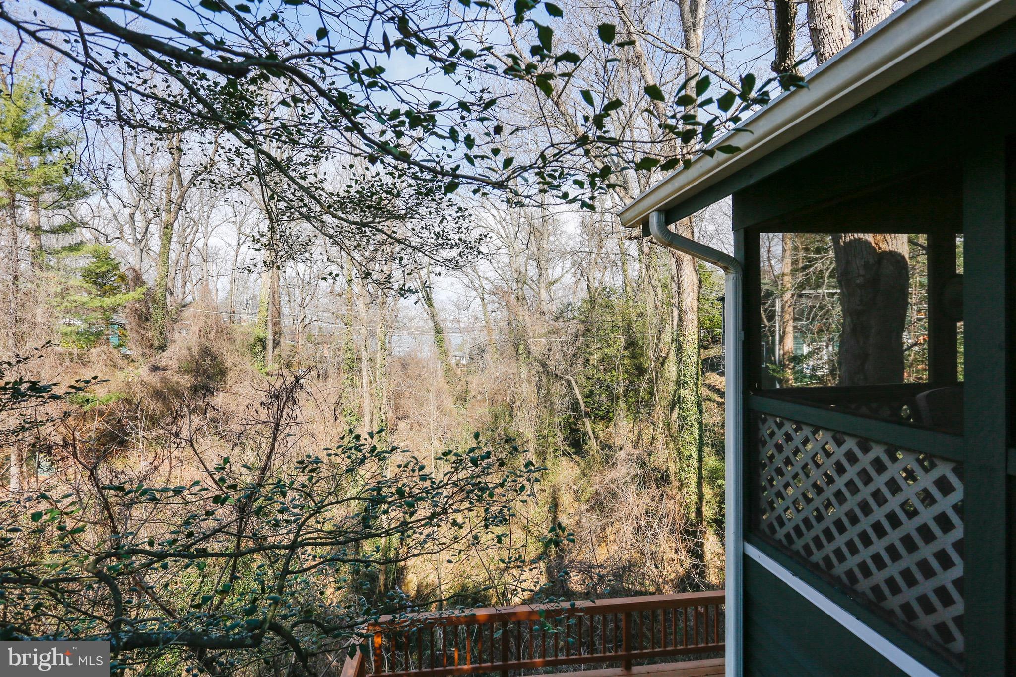 124 Edgehill Road Annapolis, MD 21405 - Photo 5 of 30 Winter Water View & Nature