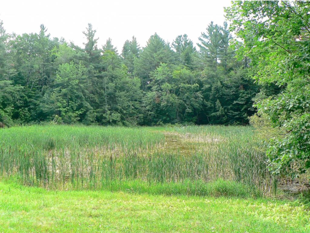 208 Easy Street Danby, VT 05739 - Photo 12 of 16 Gallery Image 12