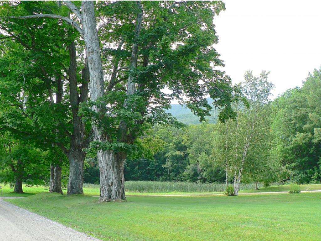 208 Easy Street Danby, VT 05739 - Photo 3 of 16 Gallery Image 3