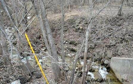 0 State Route 7 Howes Cave, NY 12092 - Photo 3 of 6 Photo 3
