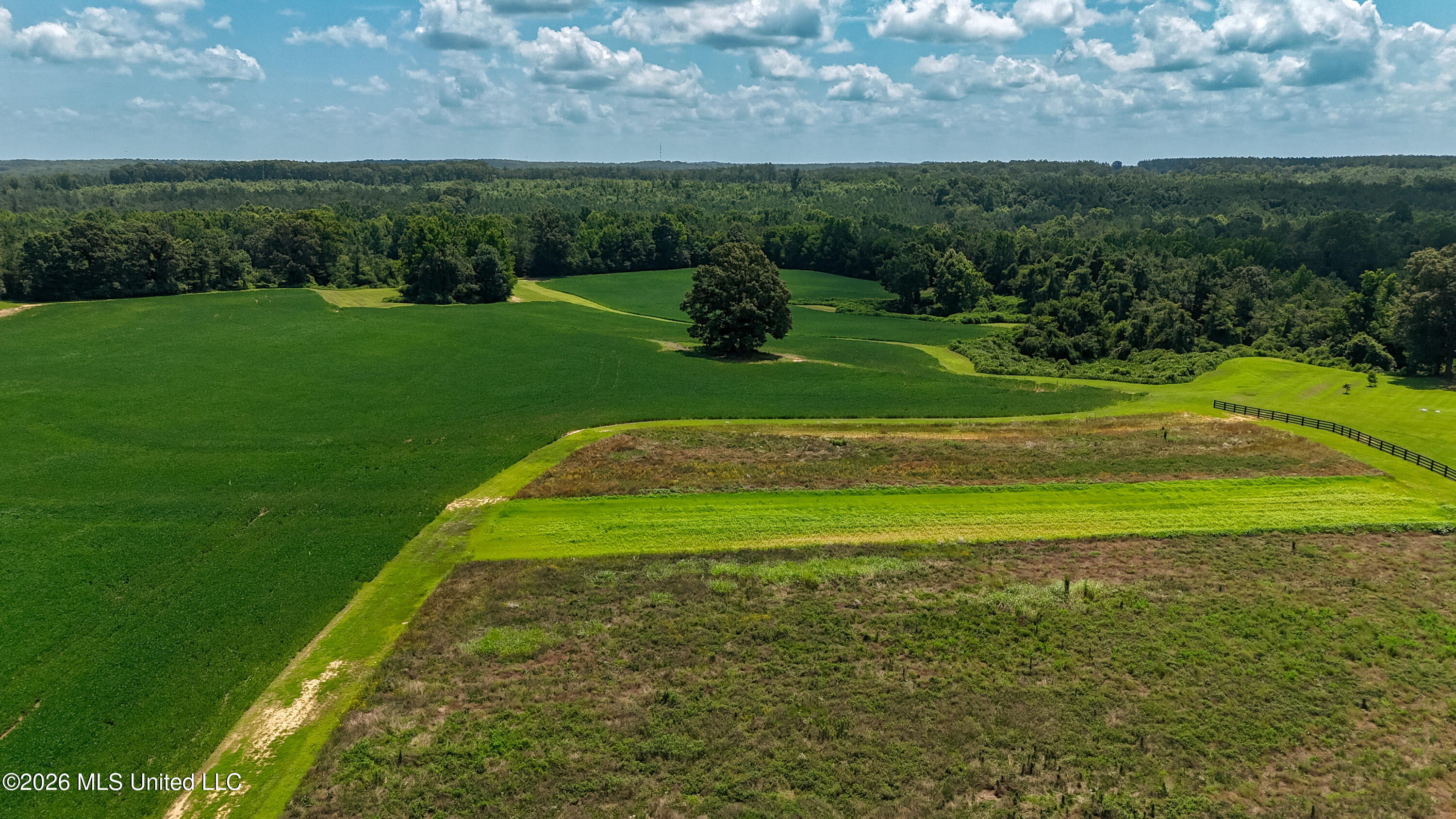 828 Little Egypt Road Ashland, MS 38603 - Photo 55 of 101 DJI_20260630115509_0321_D