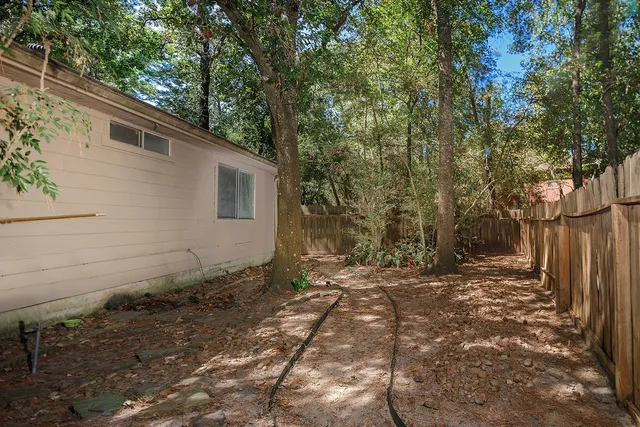 a view of a yard with plants and trees