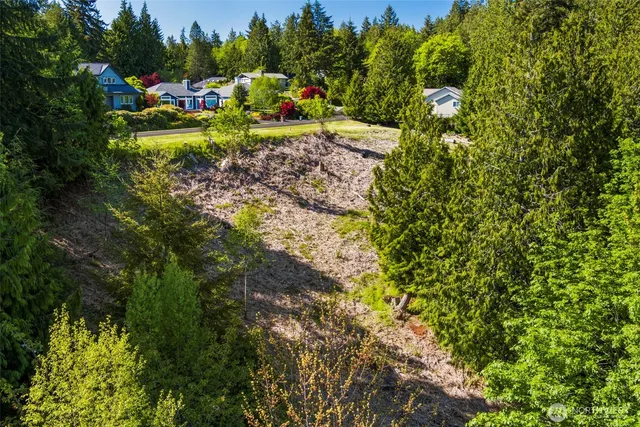a view of a golf course with trees