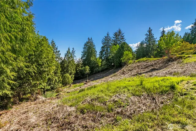 a backyard of a house with lots of green space and outdoor seating