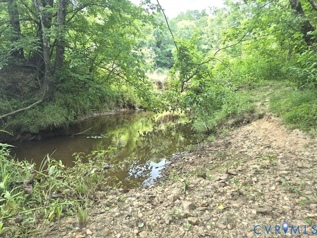 0 Falkland Road Meherrin, VA 23954 - Photo 5 of 17