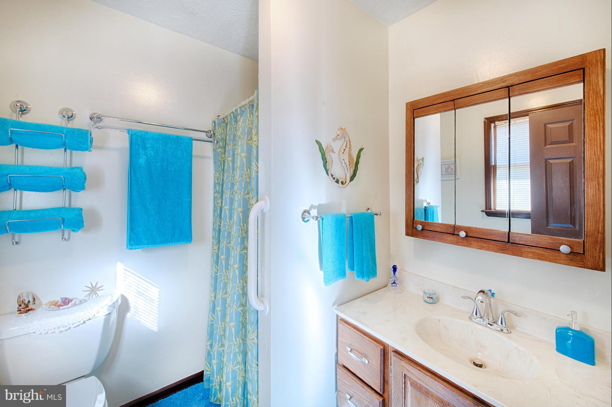 540 Beards Hill Road Aberdeen, MD 21001 - Photo 15 of 30 Bath (Master)