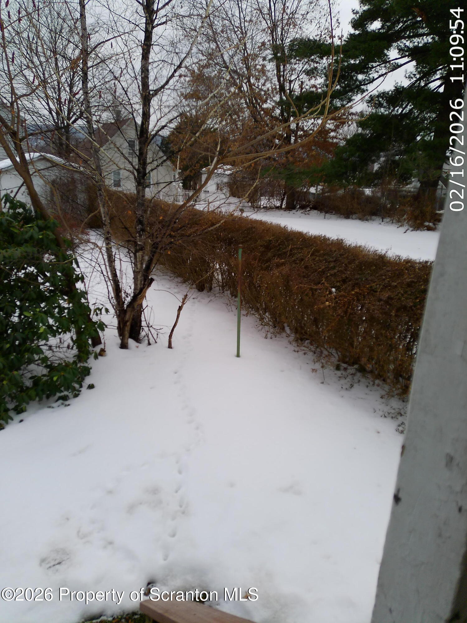 319 South 9th Avenue Scranton, PA 18504 - Photo 31 of 49 a view of outdoor space and yard