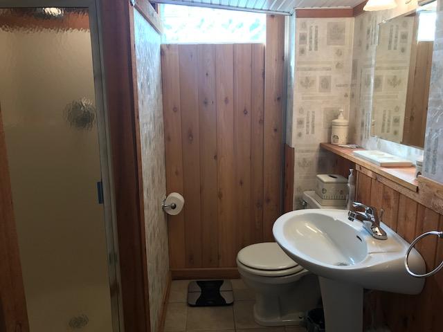 7003 Plantation Road Roanoke, VA 24019 - Photo 16 of 46 Lower full bathroom