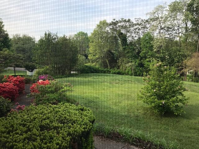 7003 Plantation Road Roanoke, VA 24019 - Photo 32 of 46 View from screened porch