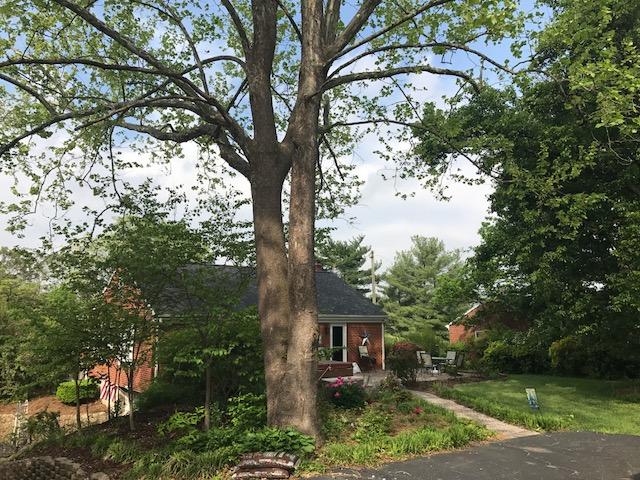 7003 Plantation Road Roanoke, VA 24019 - Photo 33 of 46 View from backyard to house