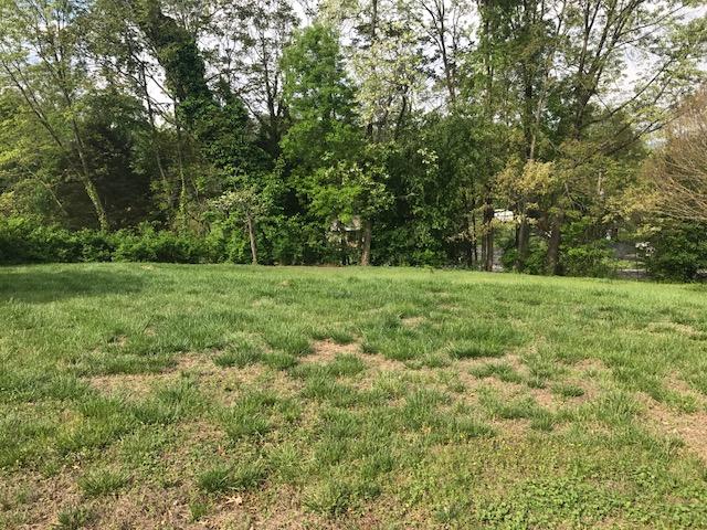 7003 Plantation Road Roanoke, VA 24019 - Photo 44 of 46 Front yard!