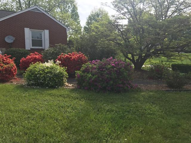 7003 Plantation Road Roanoke, VA 24019 - Photo 45 of 46 Spring has blossomed!