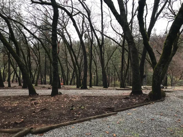 $365,000 | Undisclosed Address, Placerville, CA 95667