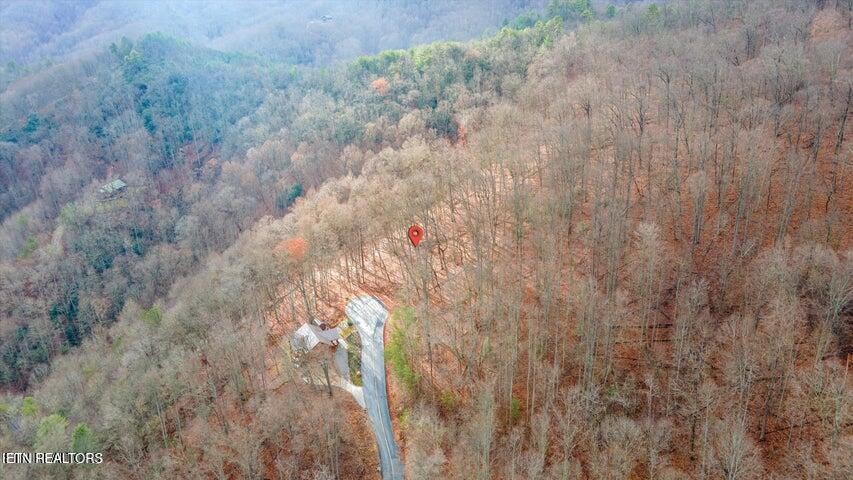 6 Deep Spring Lane Sevierville, TN 37862 - Photo 11 of 11 a view of a dry yard with trees