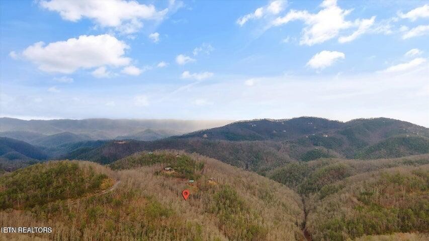 6 Deep Spring Lane Sevierville, TN 37862 - Photo 2 of 11
