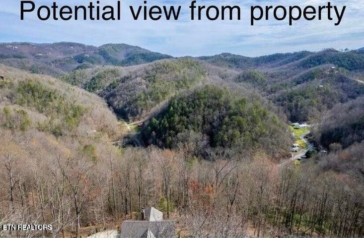 6 Deep Spring Lane Sevierville, TN 37862 - Photo 3 of 11