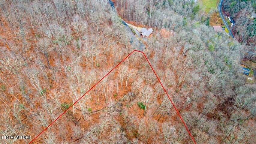 6 Deep Spring Lane Sevierville, TN 37862 - Photo 4 of 11 a backyard of a house