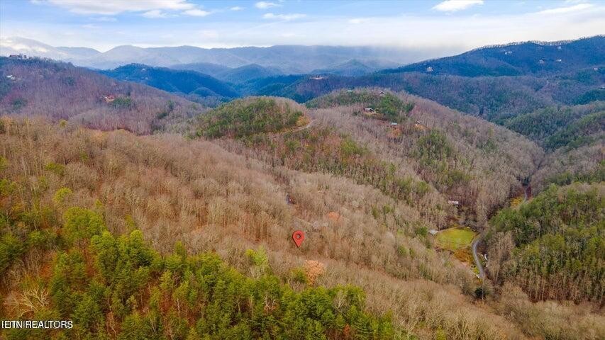 6 Deep Spring Lane Sevierville, TN 37862 - Photo 8 of 11 a view of a lush green hillside and a houses
